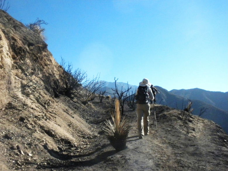 rattlesp107 016.JPG