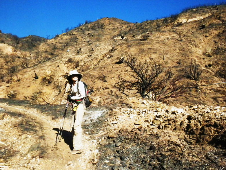 rattlesp107 014.JPG
