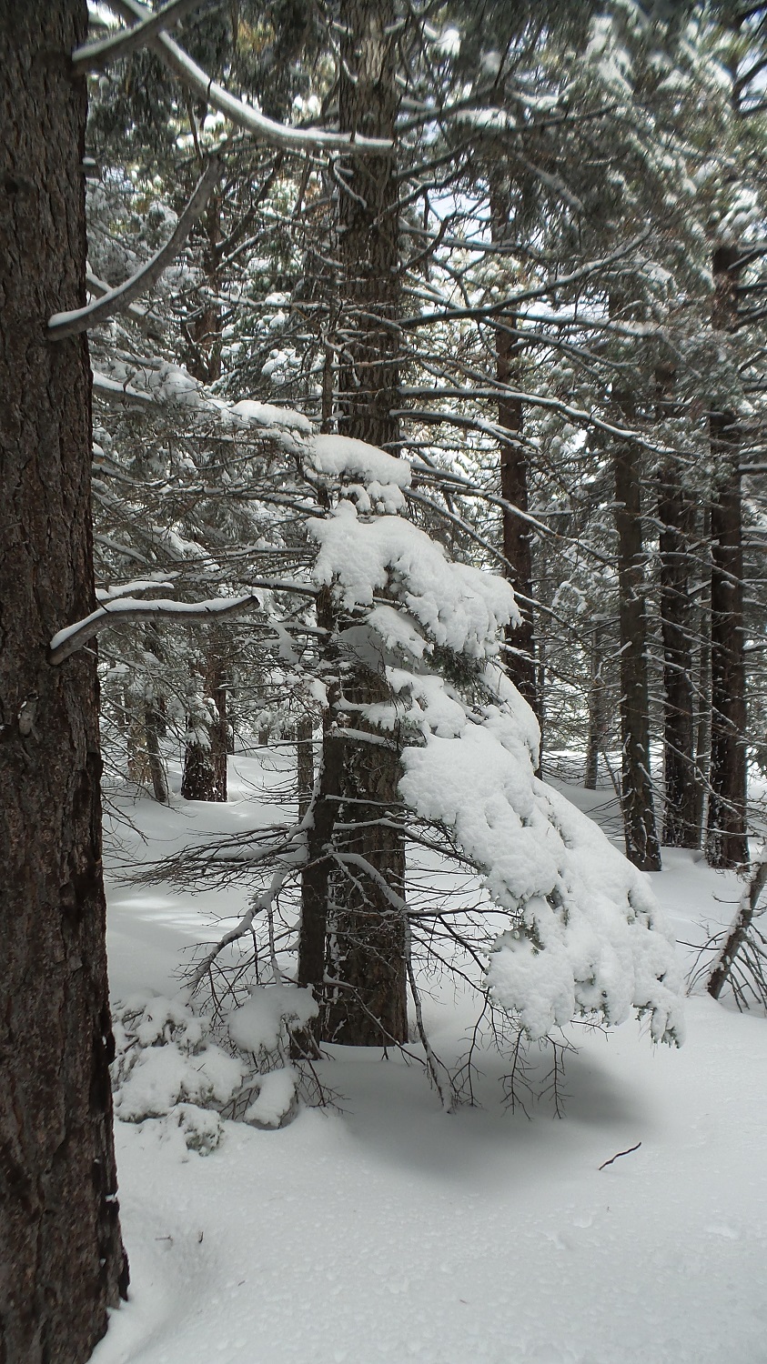 20170219_105029.jpg