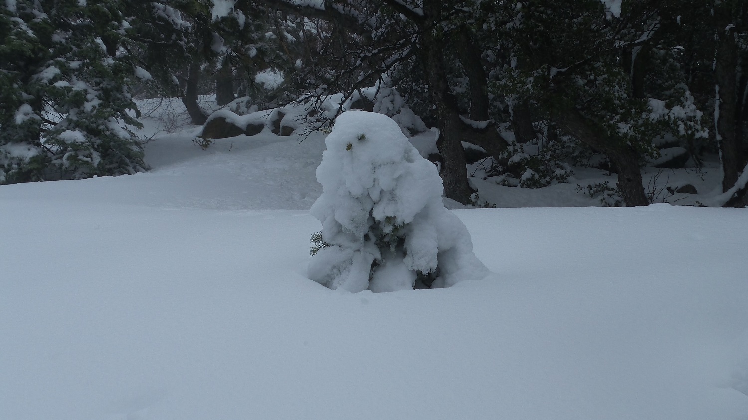 20170219_100637.jpg