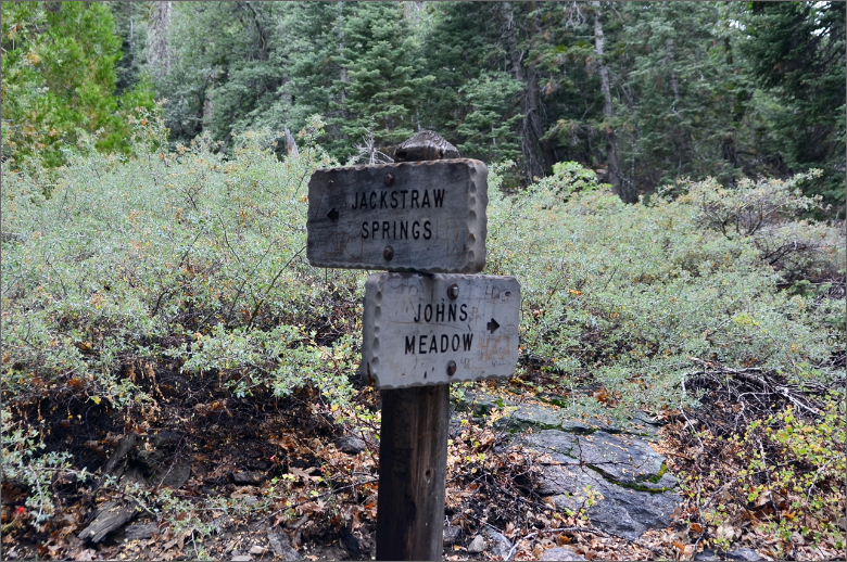 DSC_0242.JPG