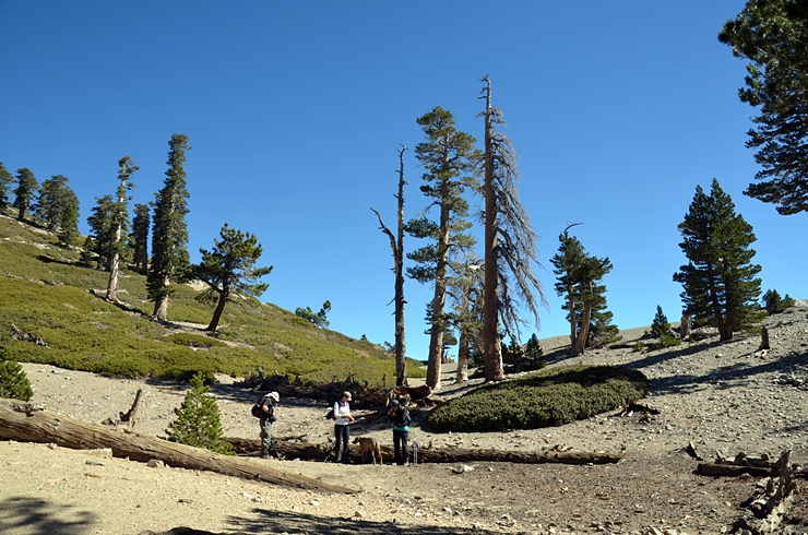 DSC_0046.JPG