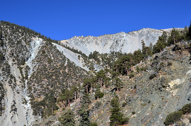 DSC_0007.JPG