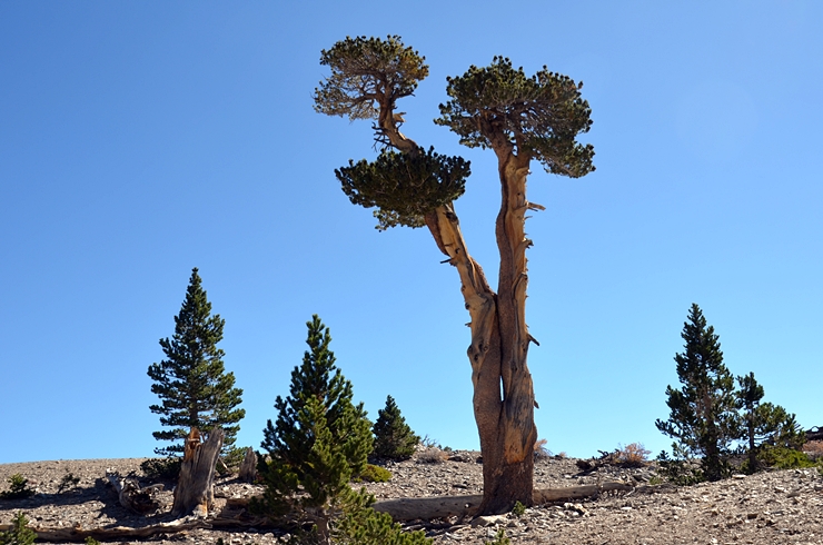 DSC_0049.JPG