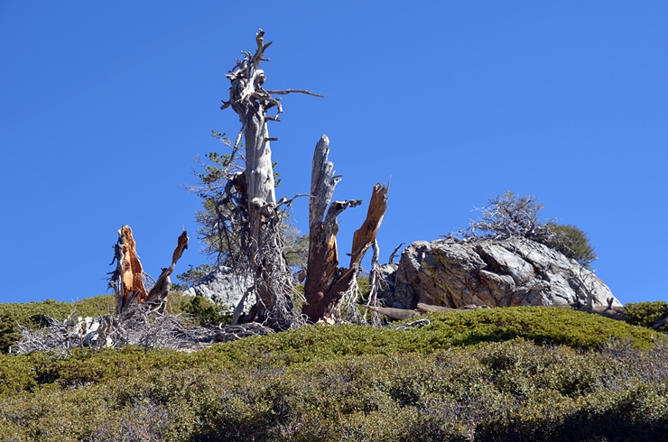 DSC_0041.JPG