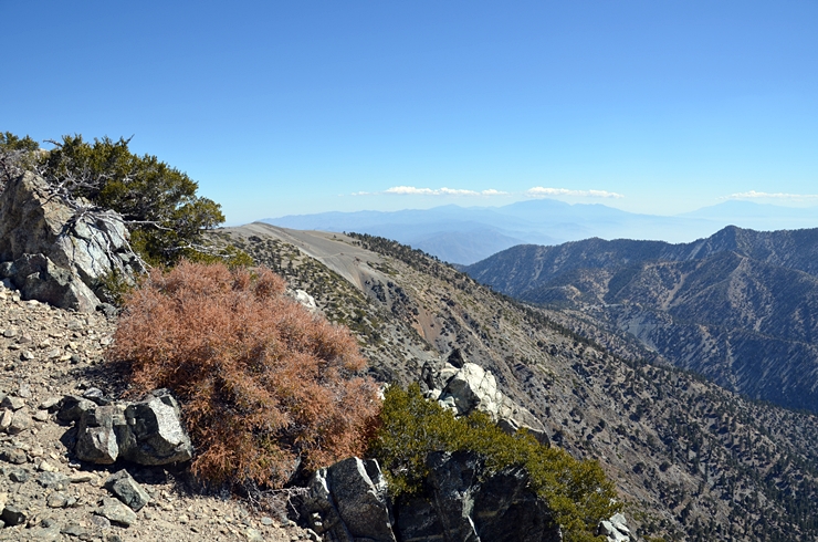 DSC_0075.JPG