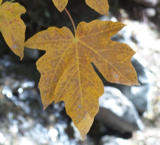 20171001_144207.jpg