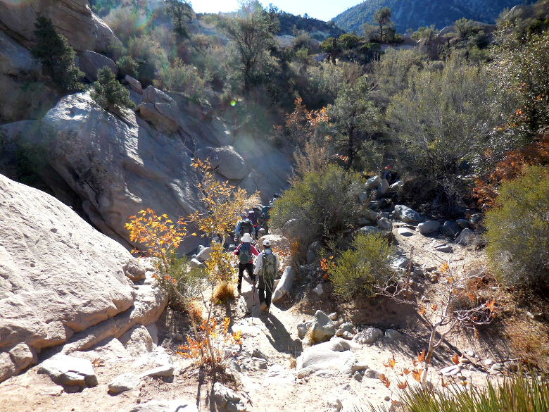 Devilsbowl1115 033.JPG
