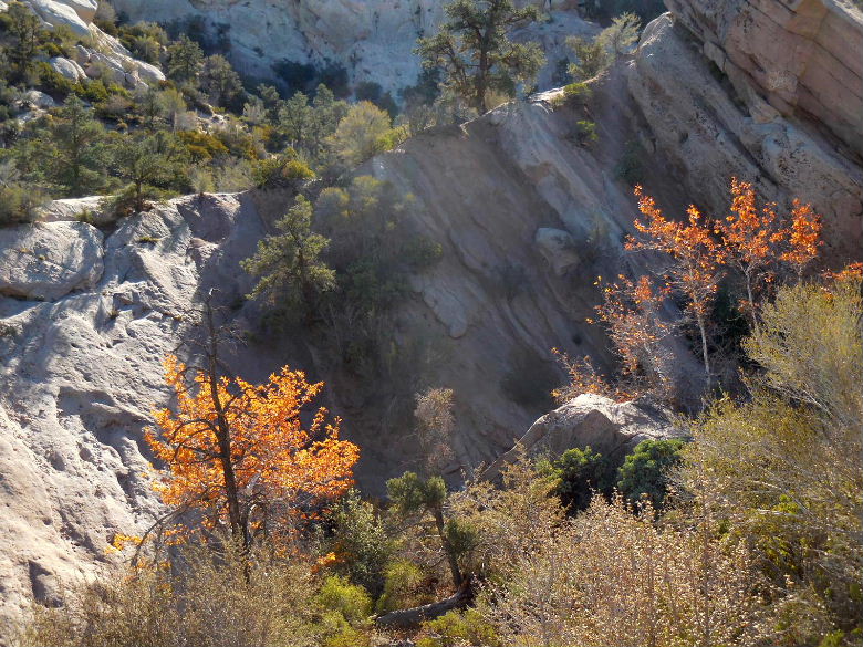 Devilsbowl1115 032.JPG