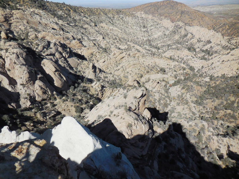 Devilsbowl1115 058.JPG