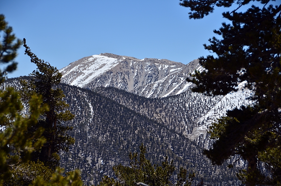DSC_3179.JPG