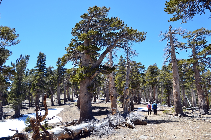 DSC_3195.JPG