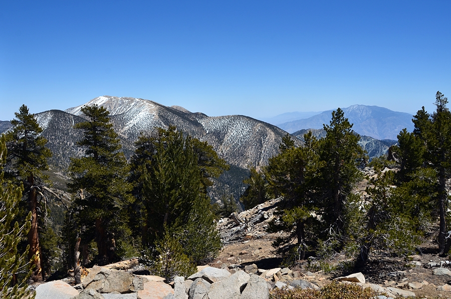 DSC_3258.JPG