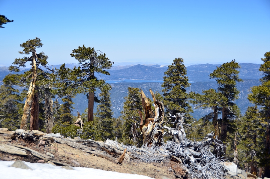 DSC_3227.JPG