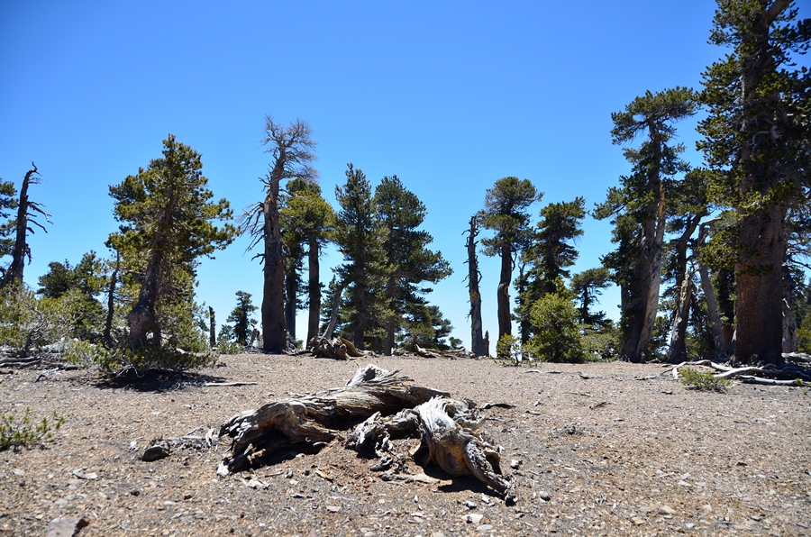DSC_3187.JPG