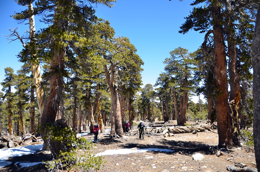 DSC_3208.JPG