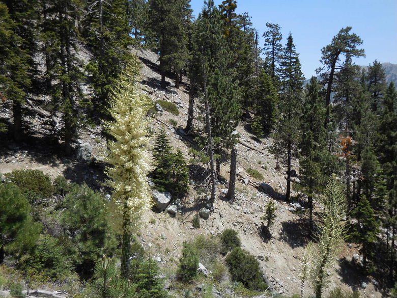 DSCN1719.JPG