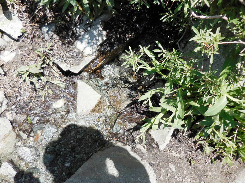 DSCN1709.JPG