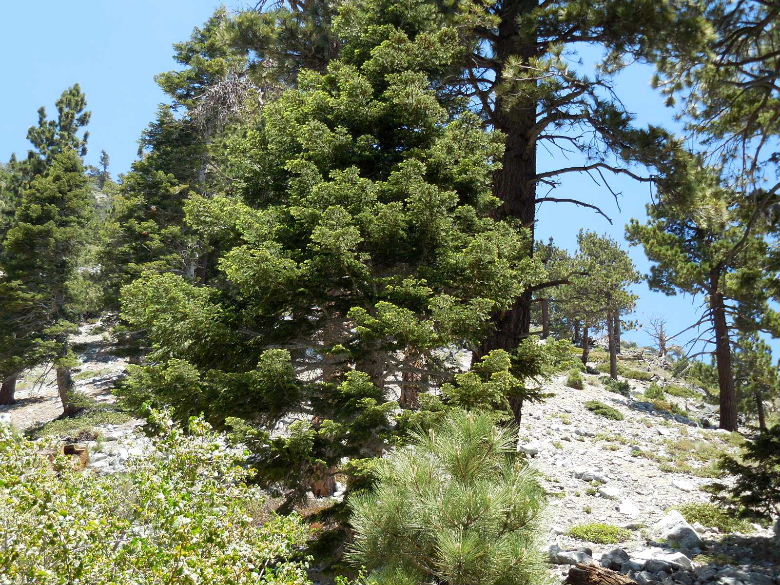 DSCN1713.JPG