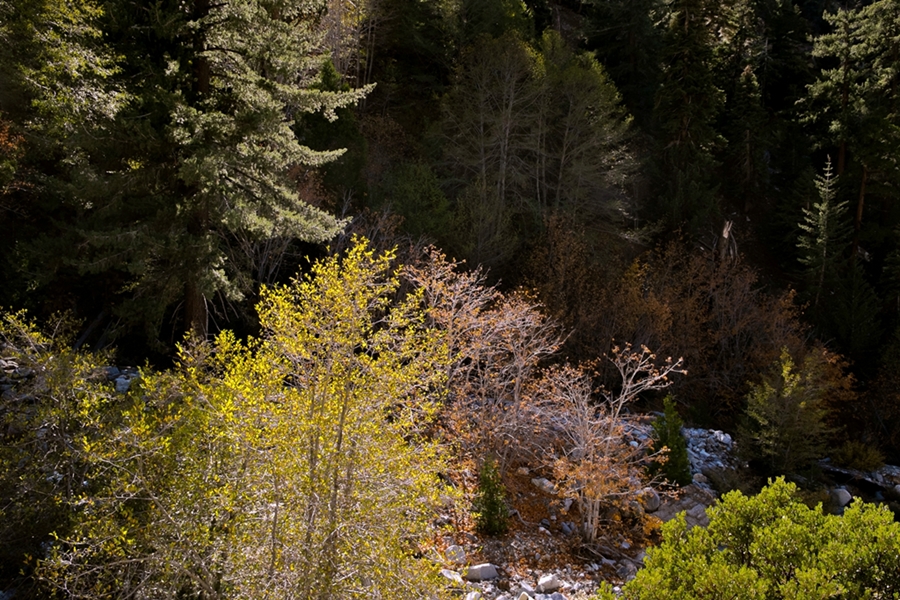 DSCF1751.jpg