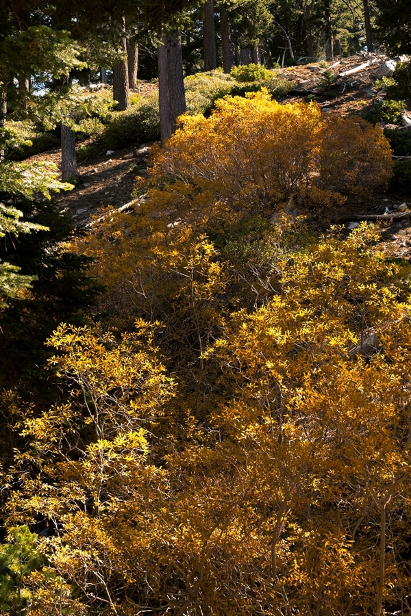 DSCF1720.jpg