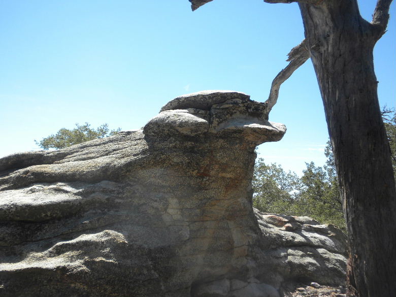 taquizpeak51312 090.JPG