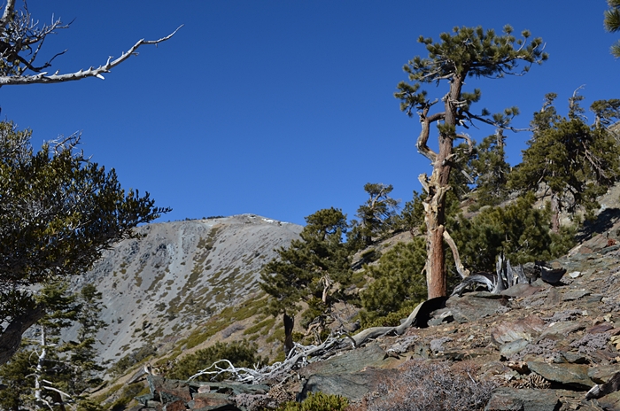 DSC_0136.JPG