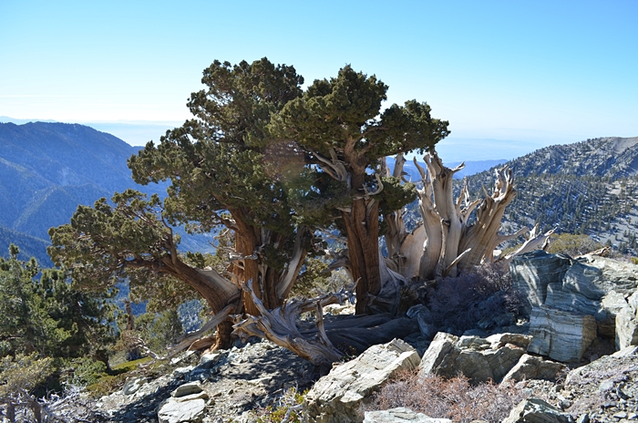 DSC_0180.JPG