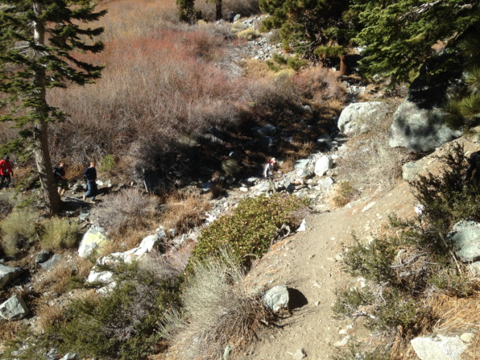 mt.baldy 003.jpg
