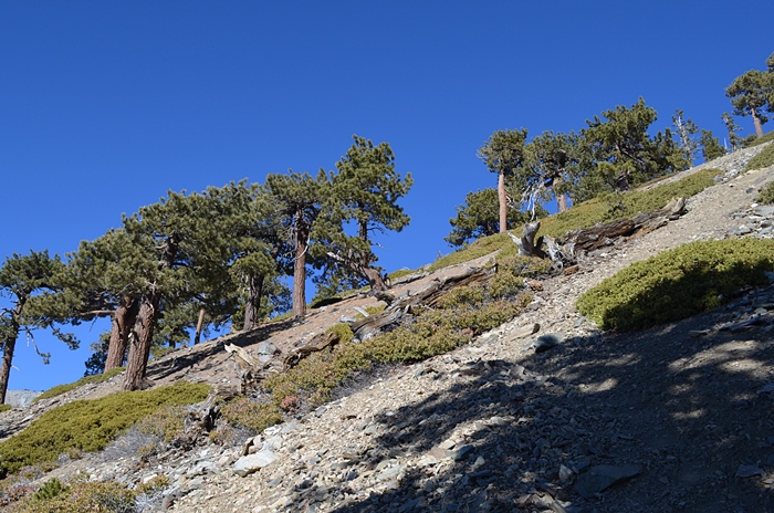DSC_0112.JPG