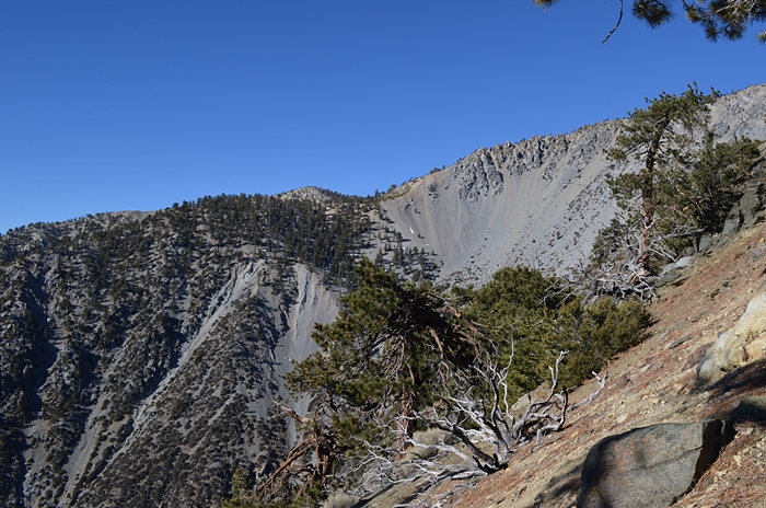 DSC_0064.JPG
