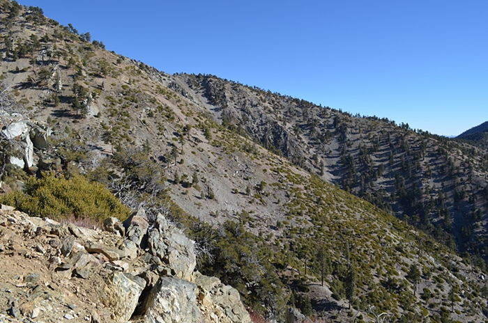 DSC_0045.JPG