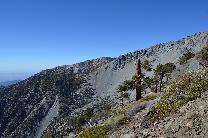 DSC_0129.JPG