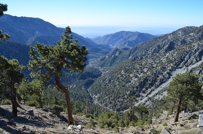 DSC_0053.JPG