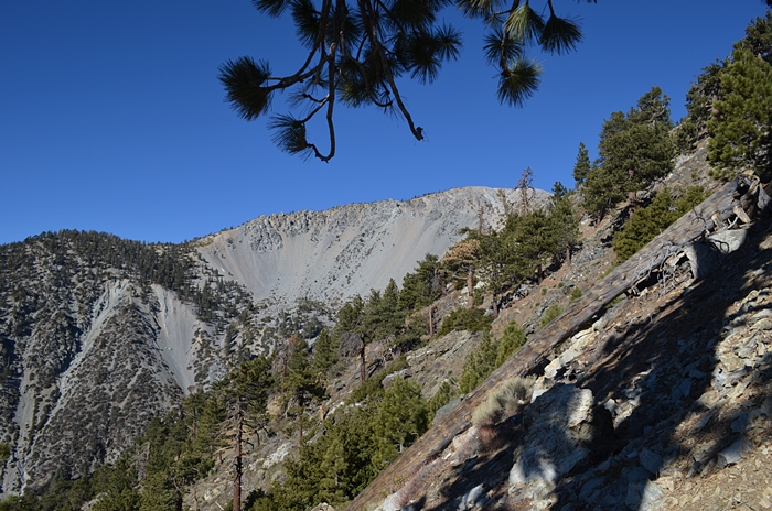 DSC_0046.JPG