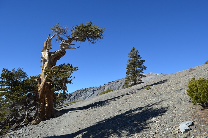 DSC_0171.JPG