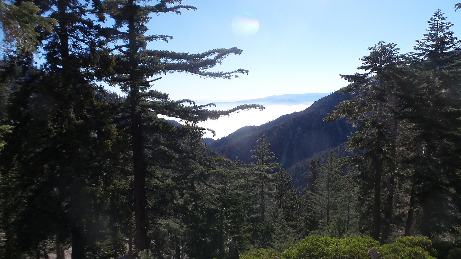 20160612_081059.jpg