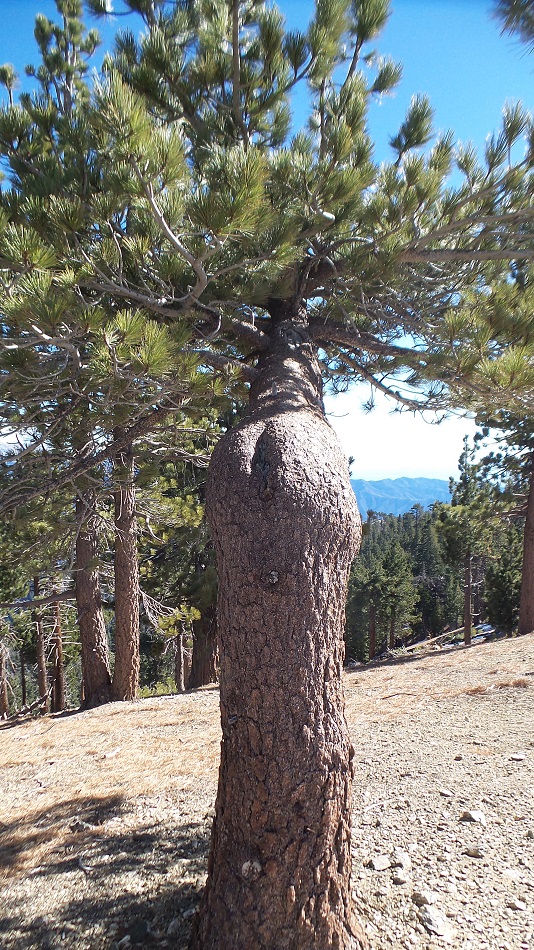 N8.jpg