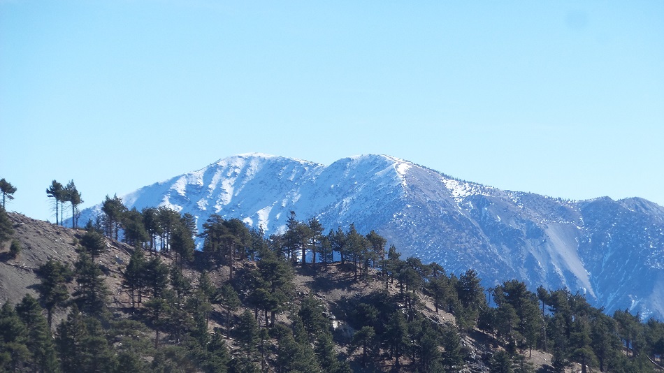 N1.jpg