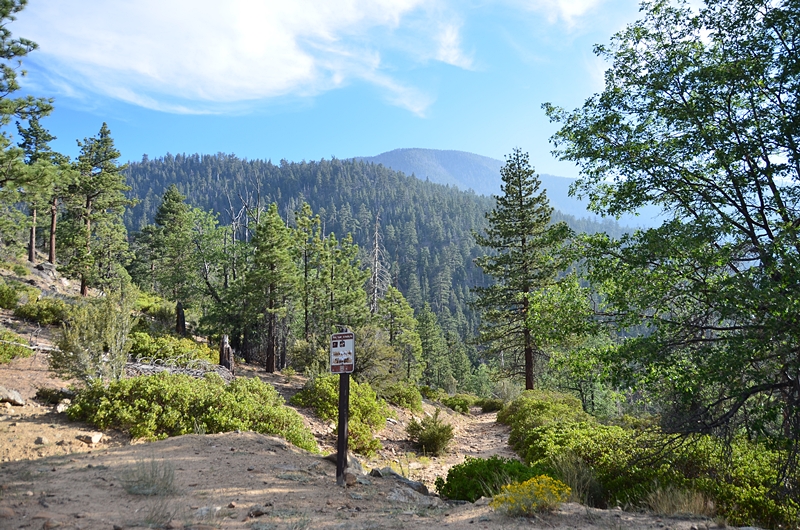 DSC_6706.JPG