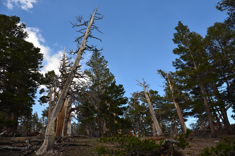 DSC_6658.JPG