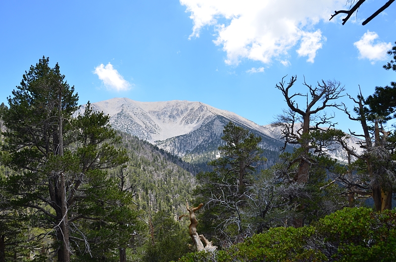DSC_6603.JPG