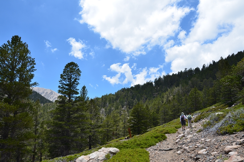 DSC_6595.JPG