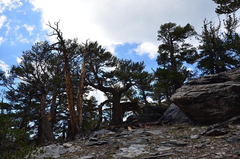 DSC_6618.JPG