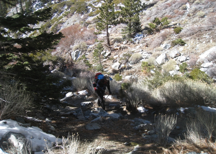 Mt.Baldy 014.jpg