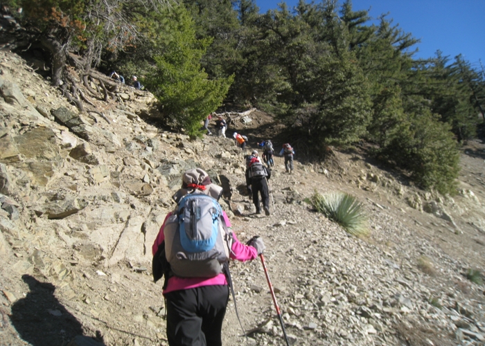 Mt.Baldy 011.jpg