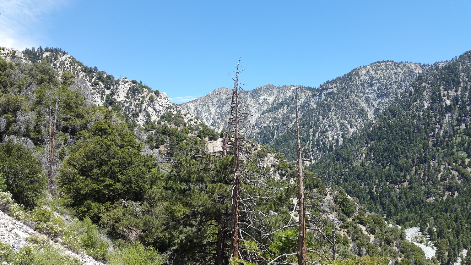 20160619_140149.jpg