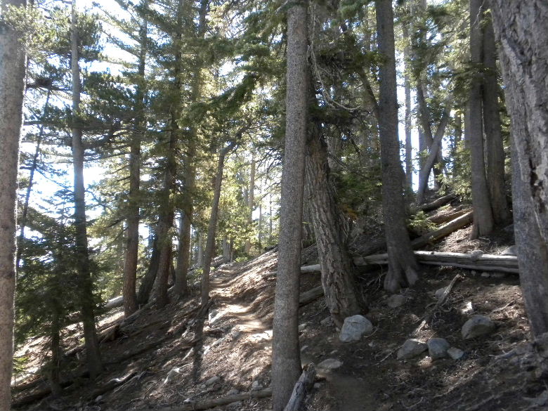 badenpowell8413 013.JPG