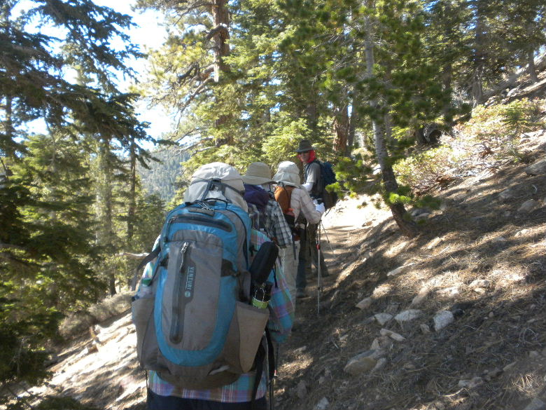 badenpowell8413 011.JPG