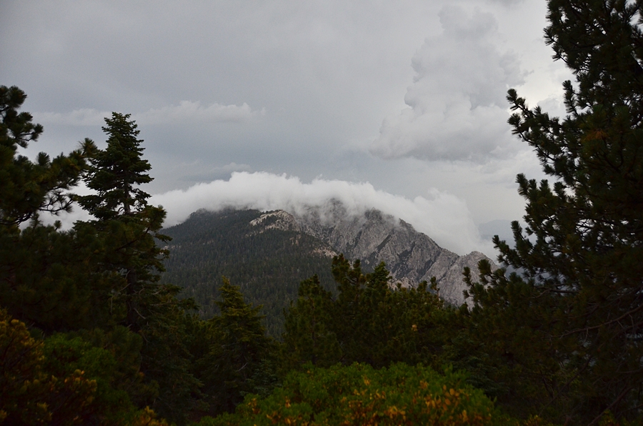 DSC_6864.JPG